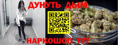 mdpv Краснознаменск