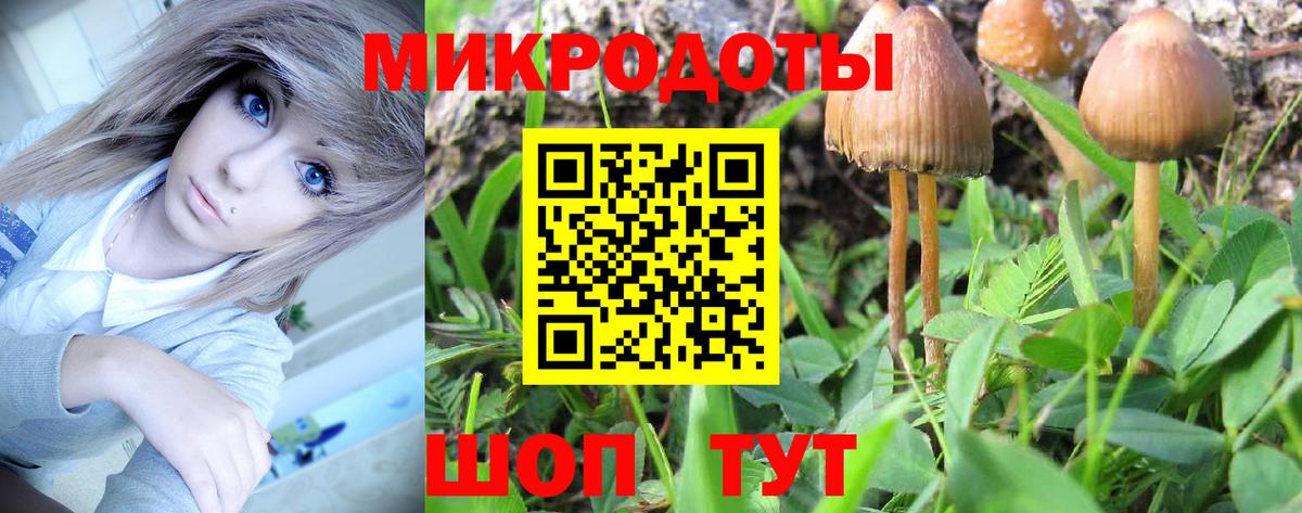 Галлюциногенные грибы GOLDEN TEACHER  Вход с VPN  Галлюциногенные грибы мицелий  Клинцы 