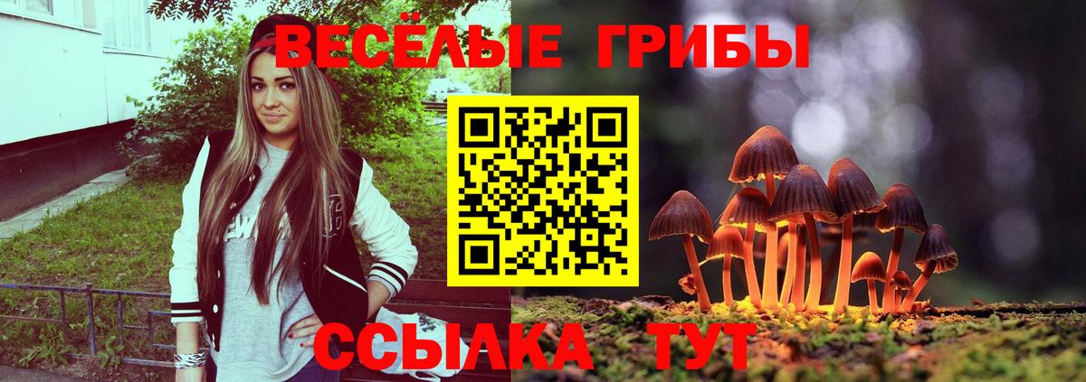 Марихуана  Гашиш  Конопля  COCAIN  Клинцы  МЕФ   МЕФ  Вход с VPN 